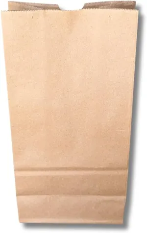 250 Large Heavy Duty Hardware or Evidence Paper Bag - 6 9/16 x 4 1/16 x 13 3/16 (10# SOS)