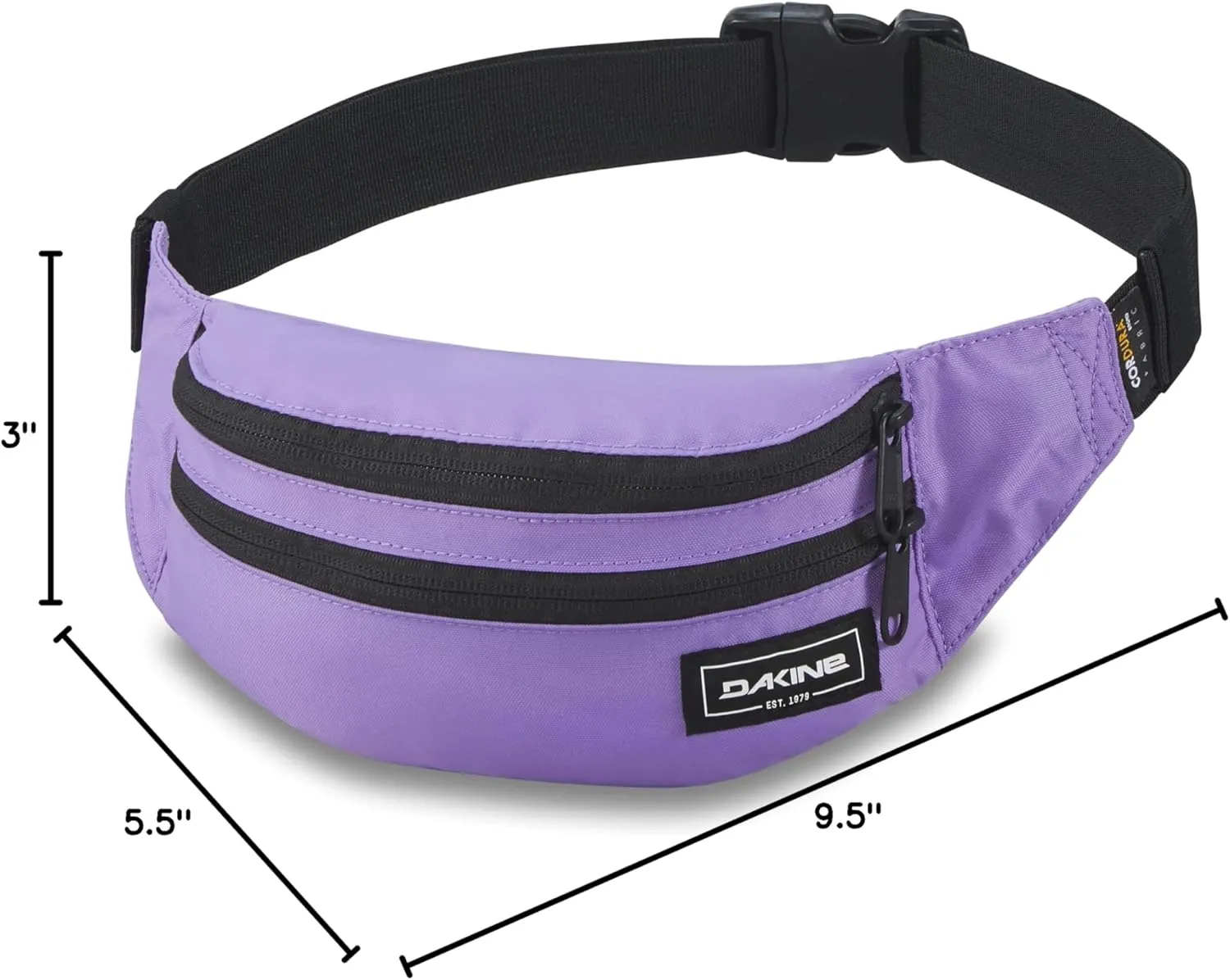Dakine Classic Hip Pack