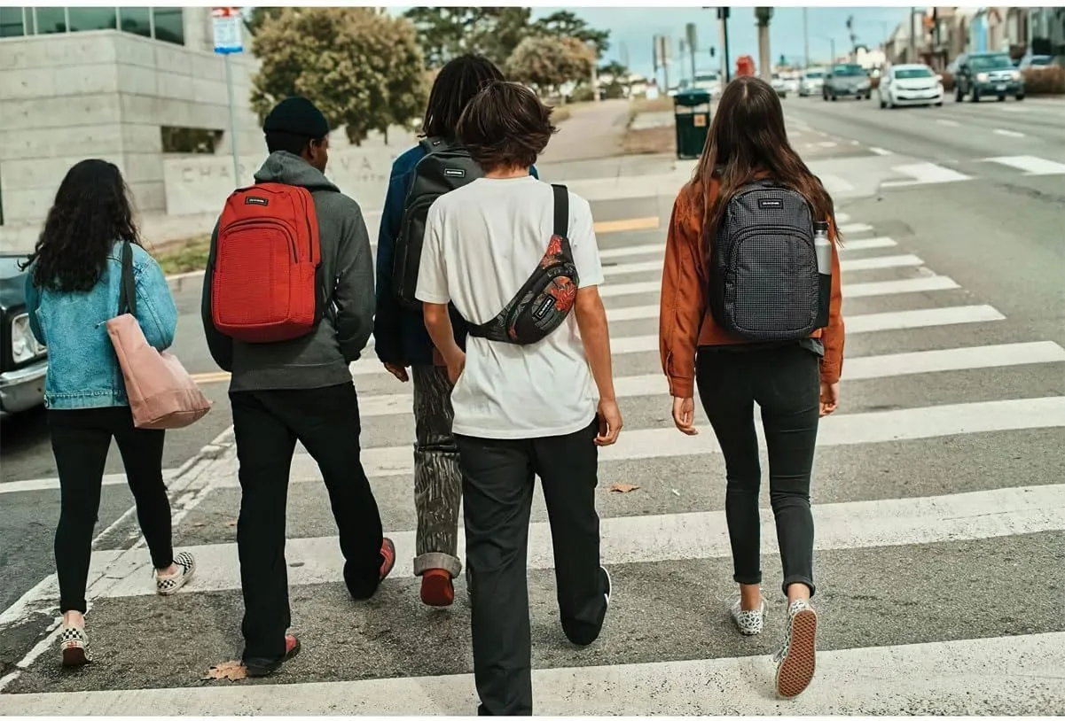 Dakine Classic Hip Pack