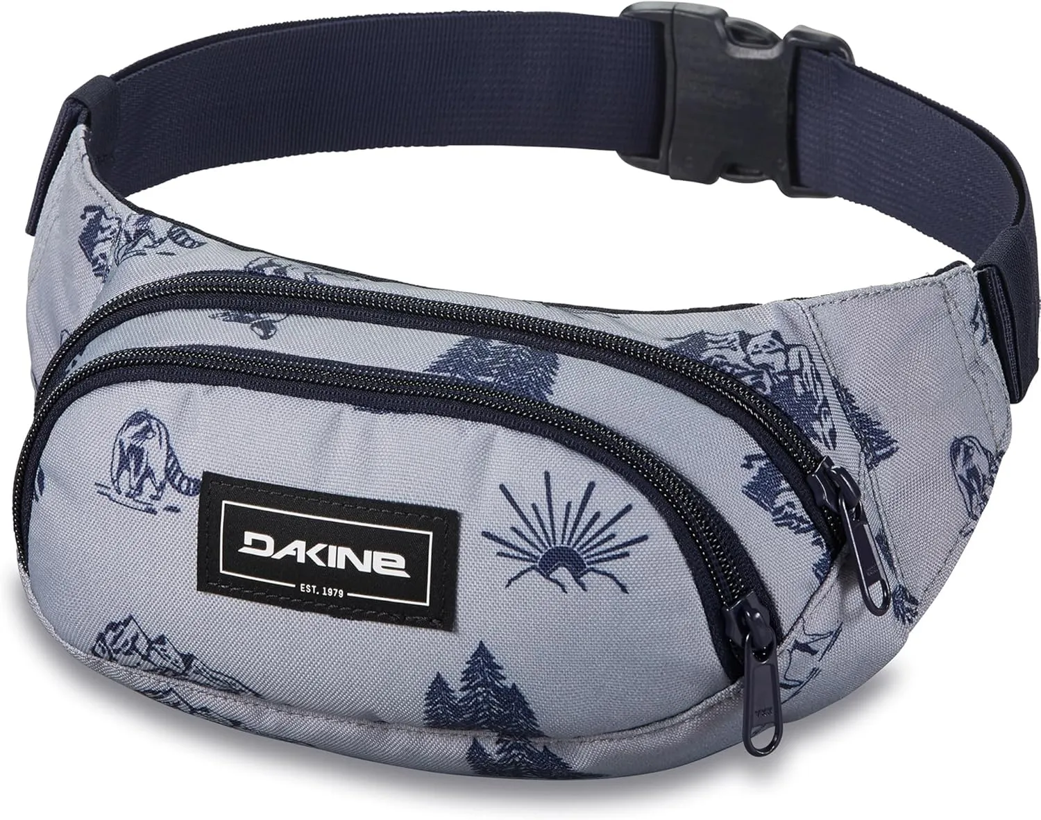 Dakine Hip Pack