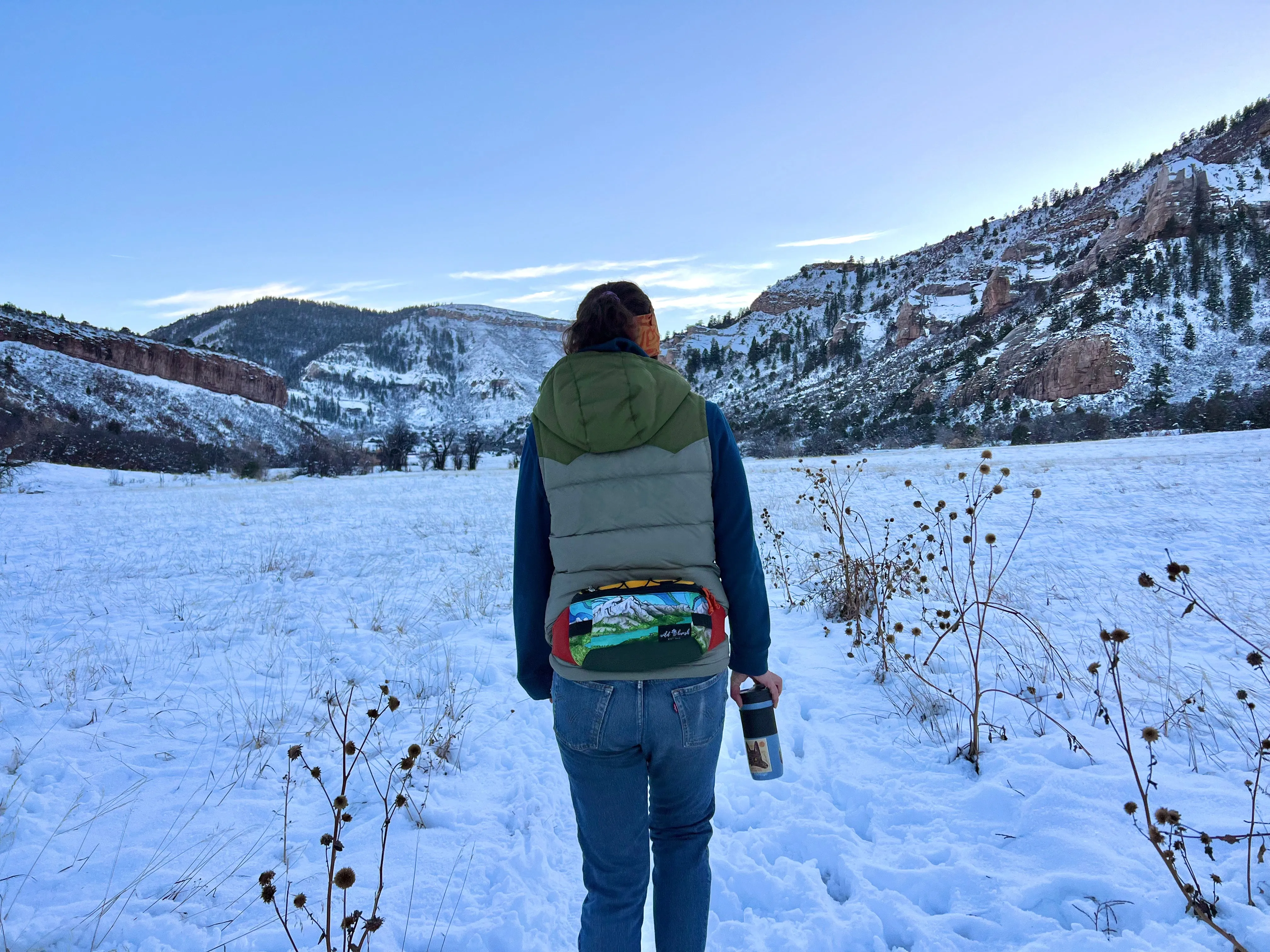 Jumbo Pass Hip Pack
