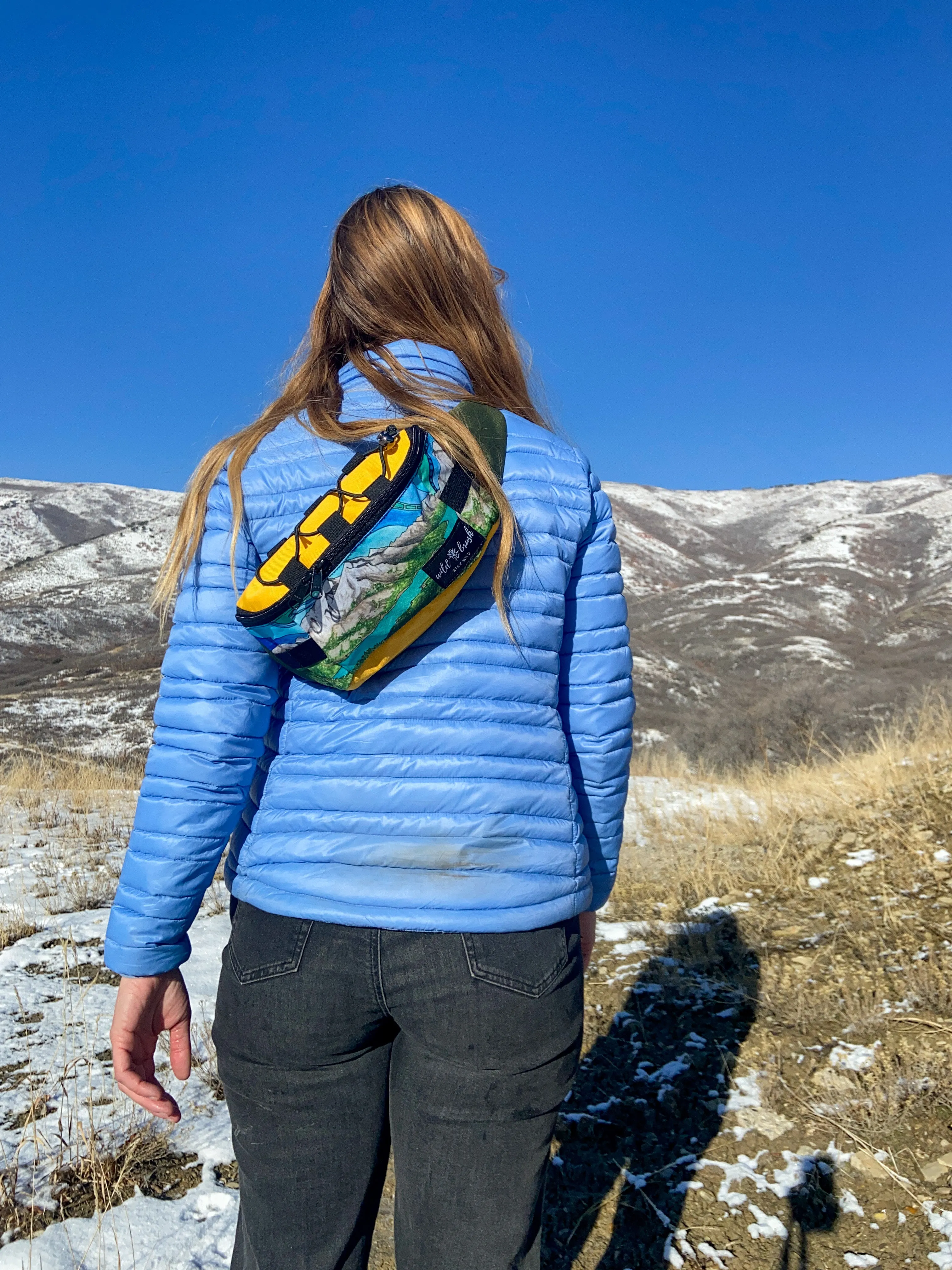 Jumbo Pass Hip Pack