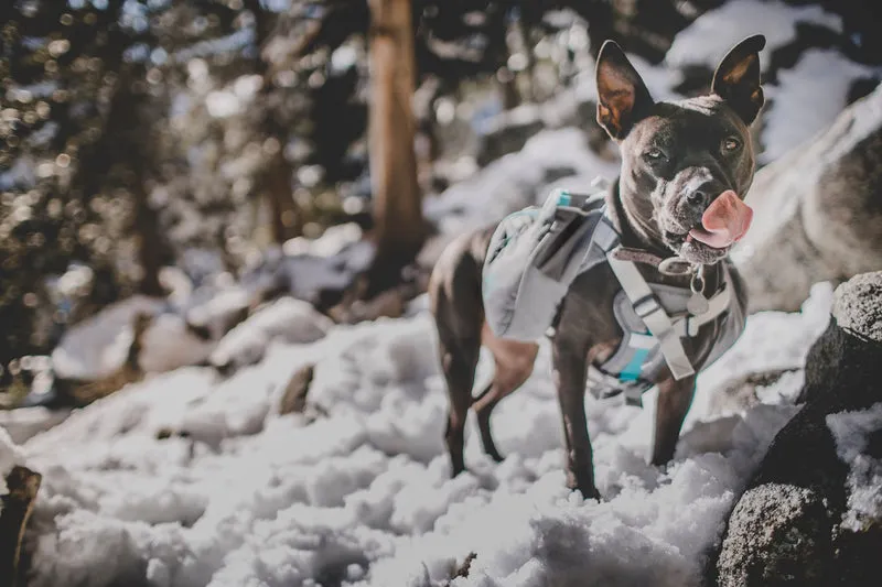 Mountainsmith K-9 Dog Pack LG Caribe Blue