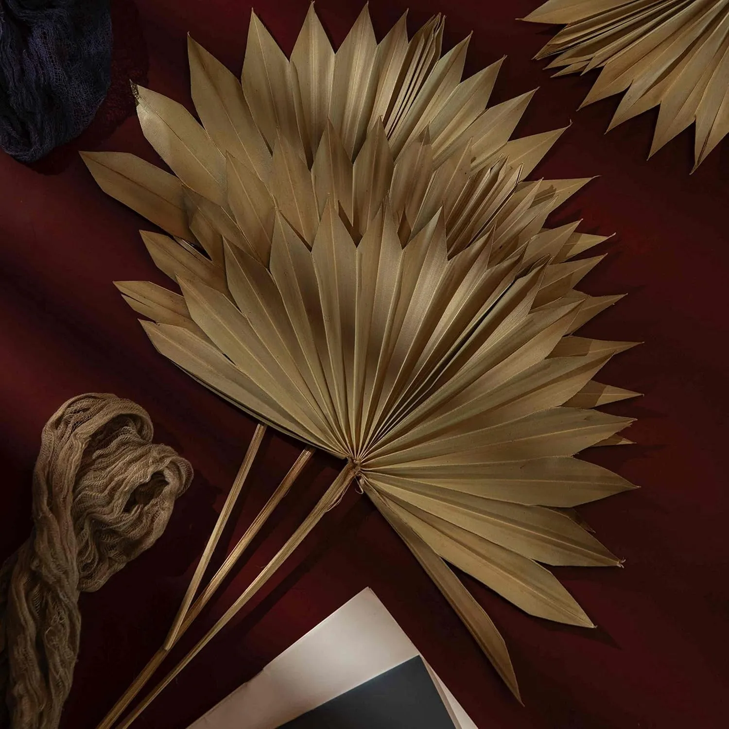 Natural Large Dried Palm Leaves-4 pcs Real Plants Palm Leaves, Sun Palms, Dried Flowers for Boho Wedding Home Party Decor, Leaf Decor