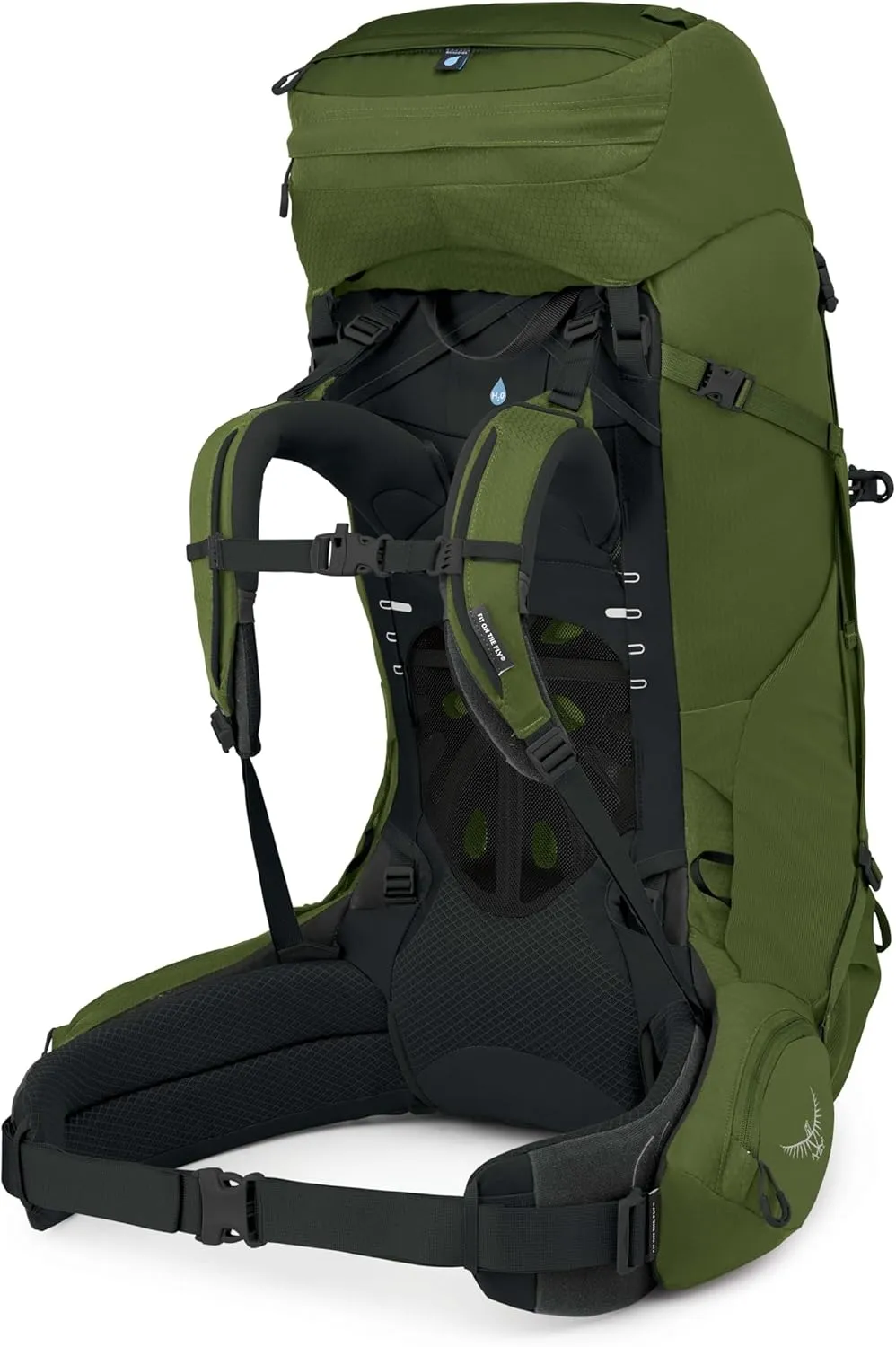 Osprey Aether 65L Men's Backpacking Backpack, Garlic Mustard Green, S/M, Extended Fit
