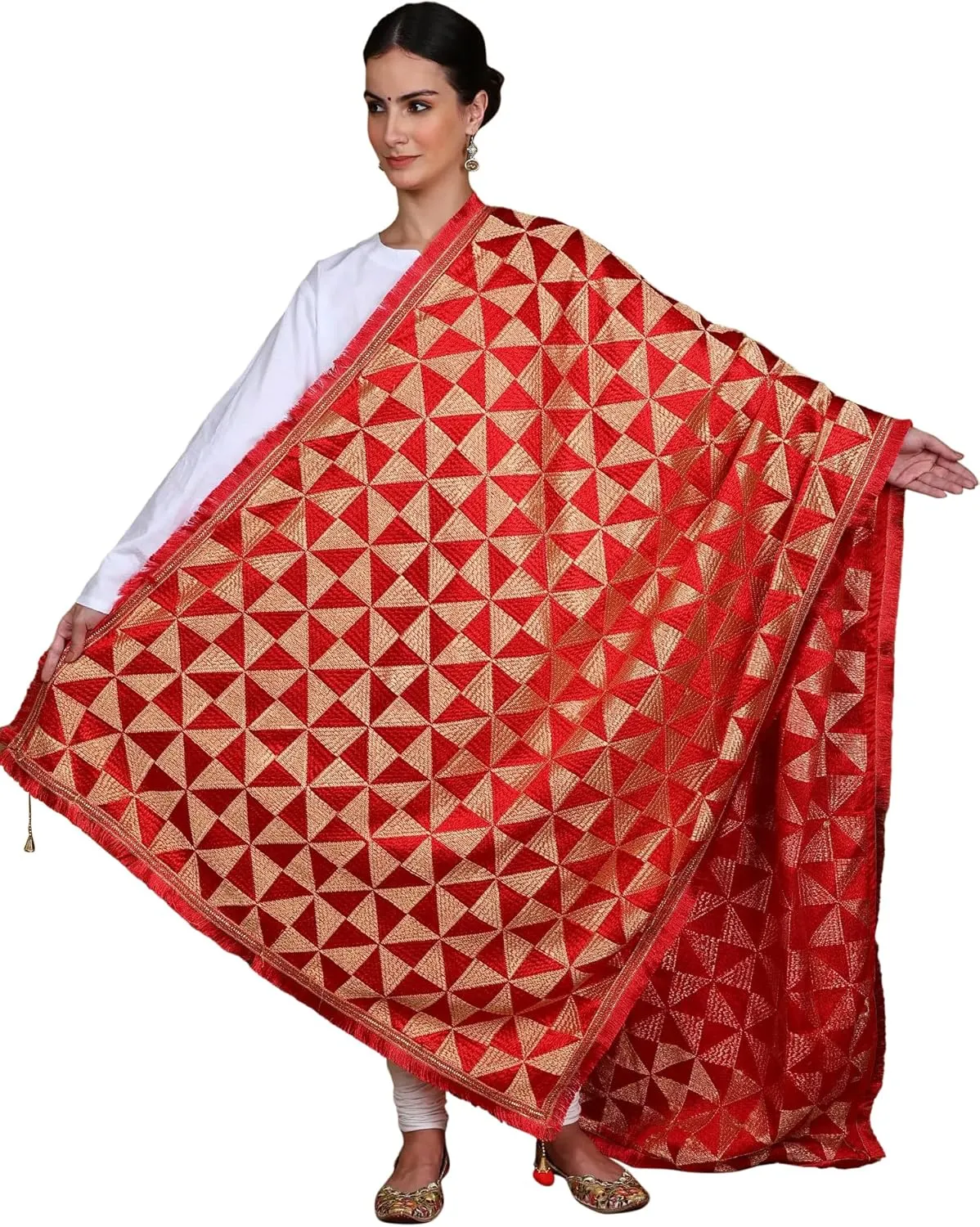 Phulkari Thread Embroidered Dupatta from Punjab with Jhalar Border And Latkan Pallu - Art Silk (Samba)