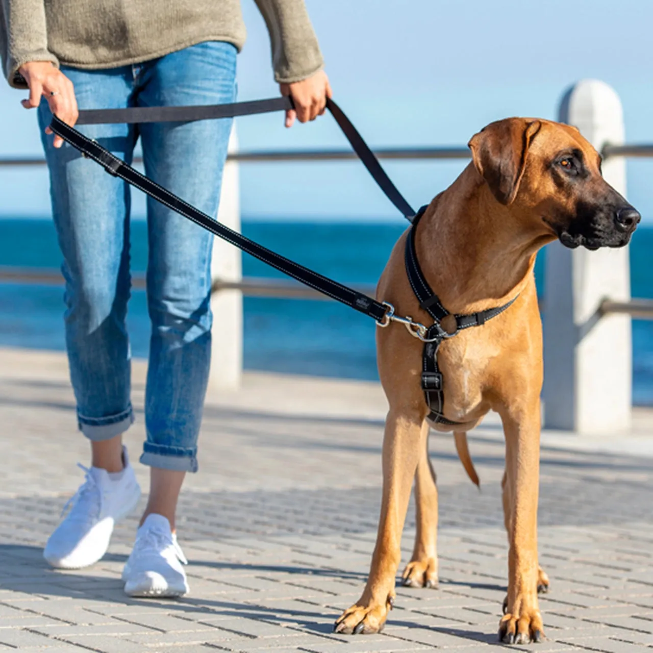 Rogz Multi Purpose Utility Dog Leash