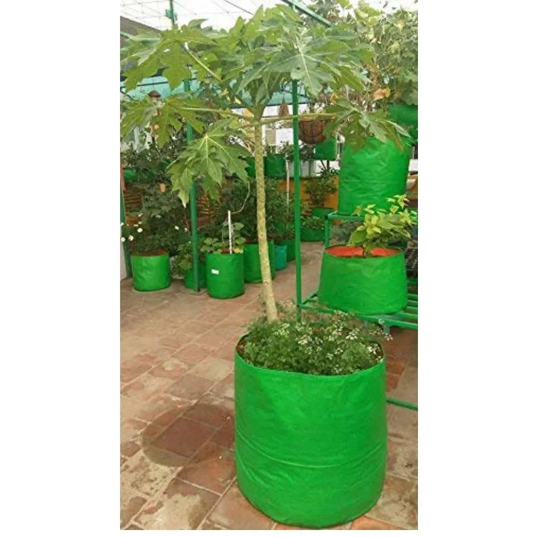YUVAGREEN Heavy Duty Terrace Gardening Leafy Vegetable Green Grow Bag (24" x 24") - (Pack of 5)