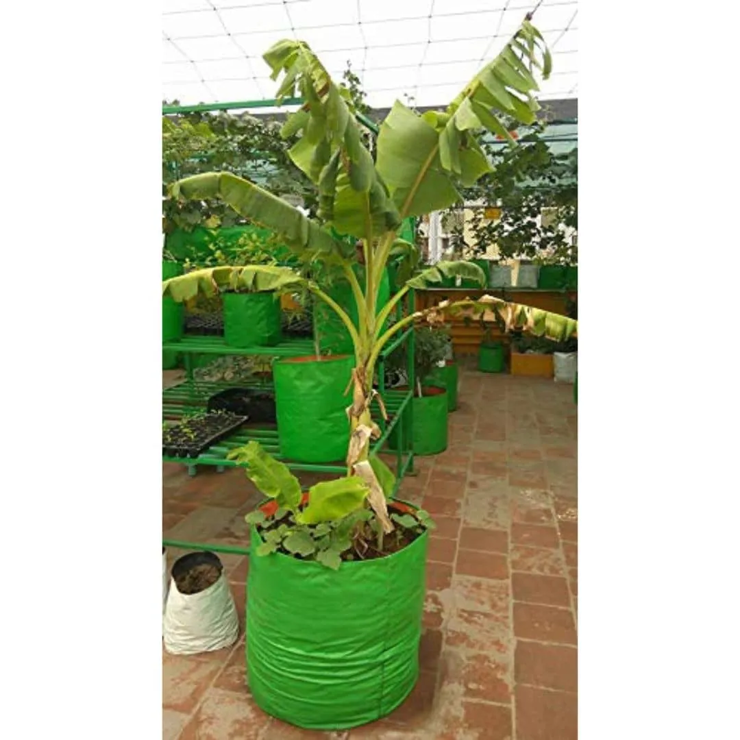 YUVAGREEN Heavy Duty Terrace Gardening Leafy Vegetable Green Grow Bag (24" x 24") - (Pack of 5)